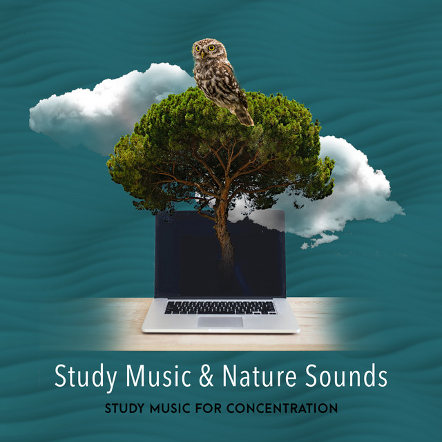 Study Music & Nature Sounds - Album by Study Music for Concentration ...