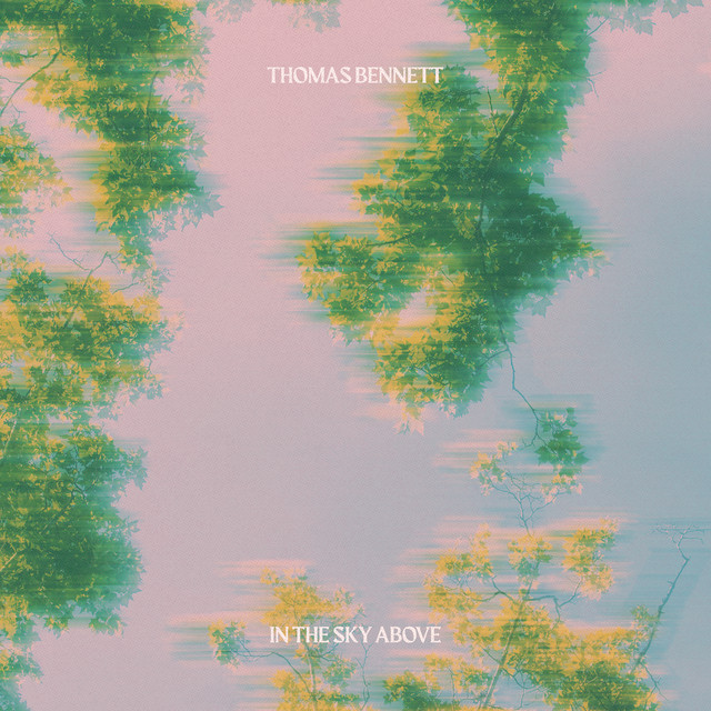 In the Sky Above album image