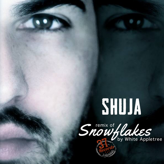 Snowflakes (Shuja Remix) cover