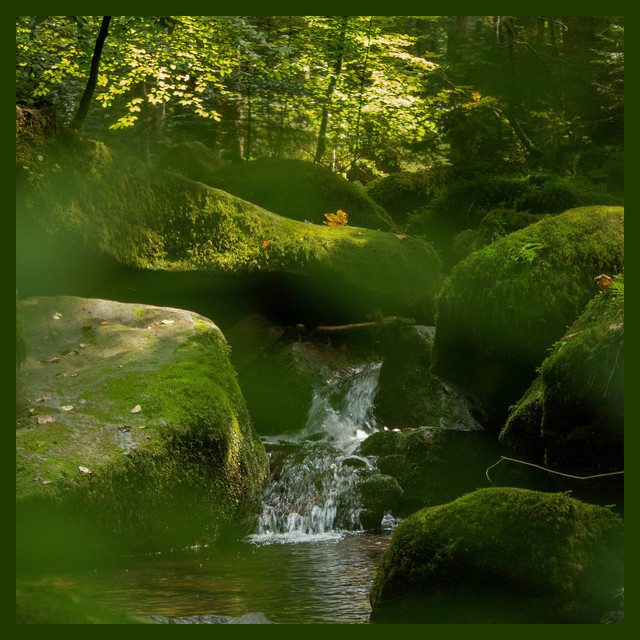 One Hour of Gentle Forest Stream cover art