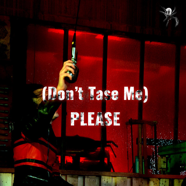 (Don't Tase Me) Please cover art