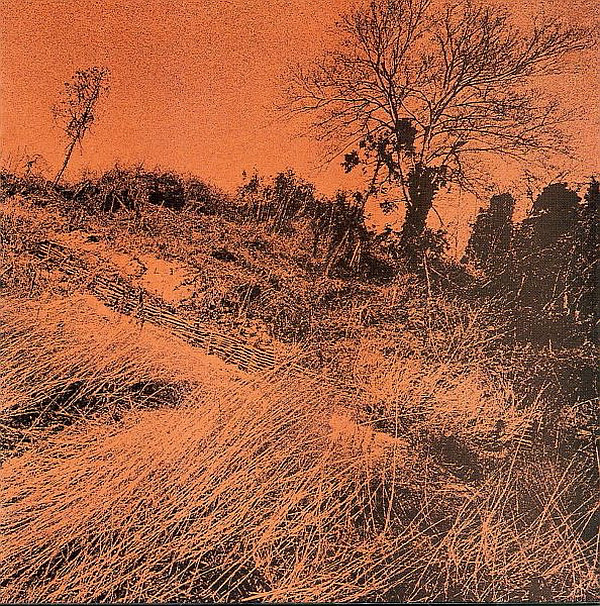 ザ ディラン Ii Spotify