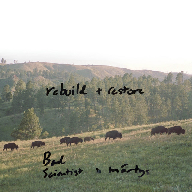 rebuild & restore