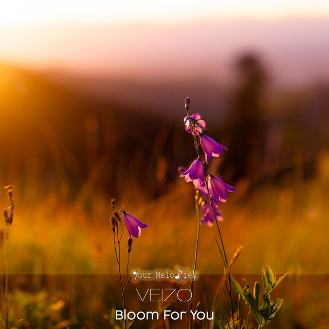 Bloom for You - Original Mix cover art