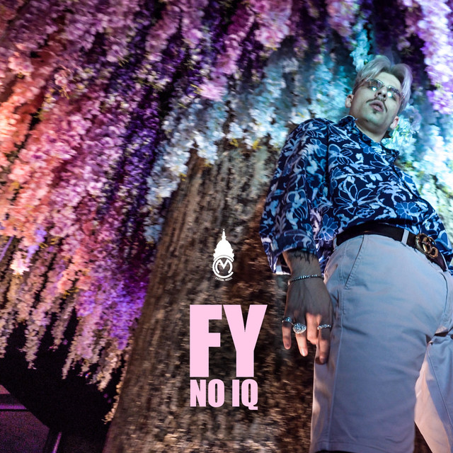 No IQ cover art