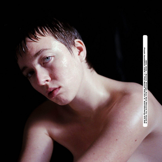 Some Things Are Not Meant To Hold II cover