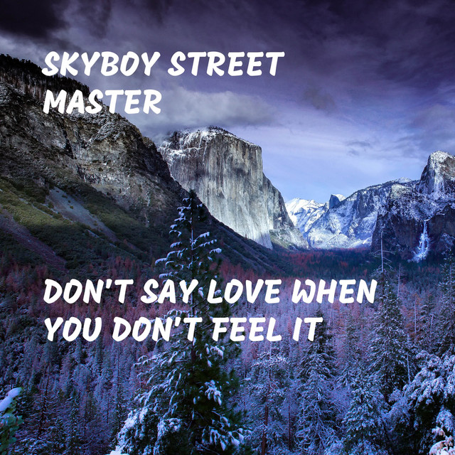 Skyboy Street Master – Don't Say Love When You Don't Feel It