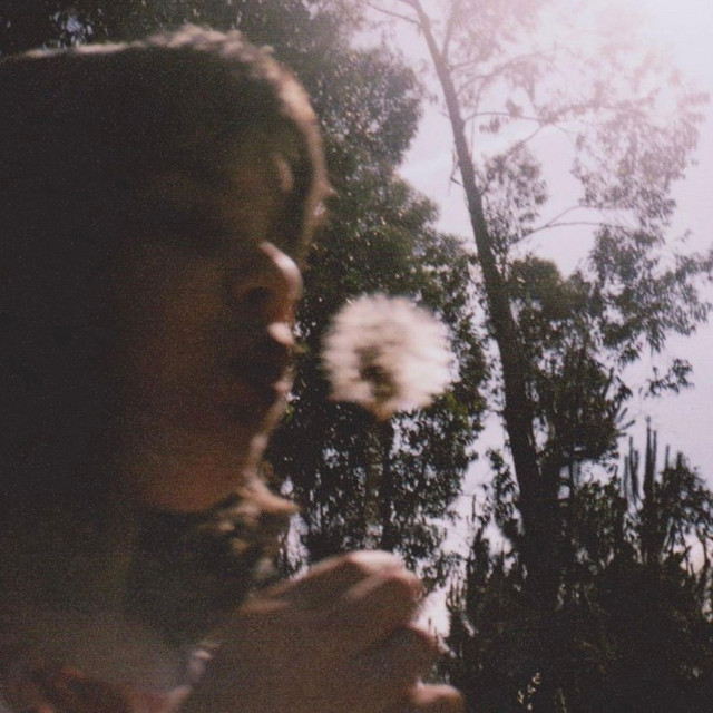 Profundo Sul cover art