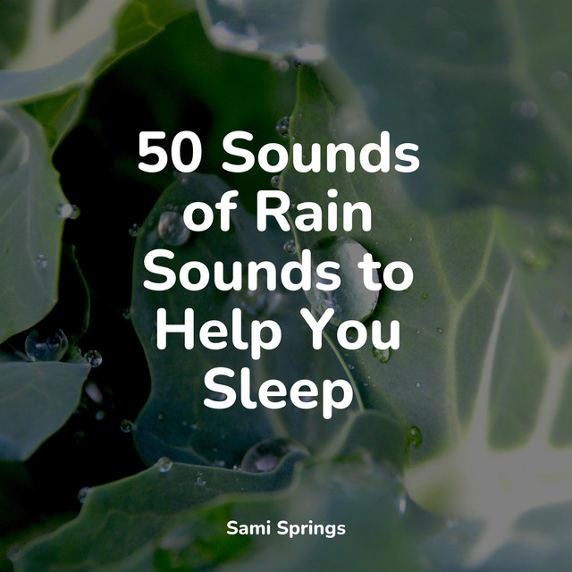 50 Sounds of Rain Sounds to Help You Sleep - Album by White Noise Sound ...