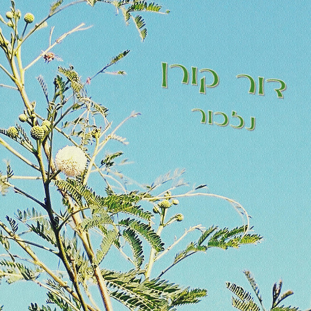 Dor Koren - דור קורן