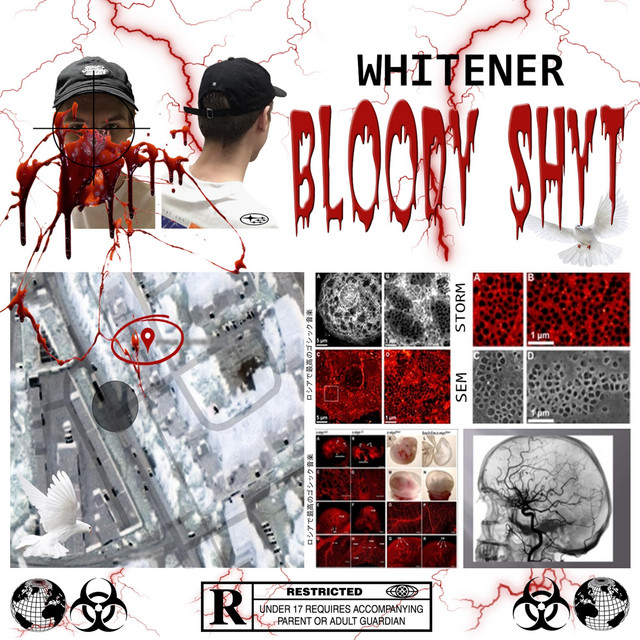 Bloody Shyt cover art