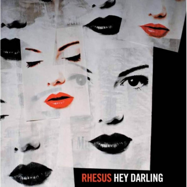 Cover de Hey Darling