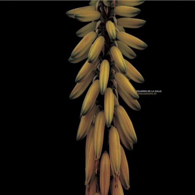 Precursors EP cover art
