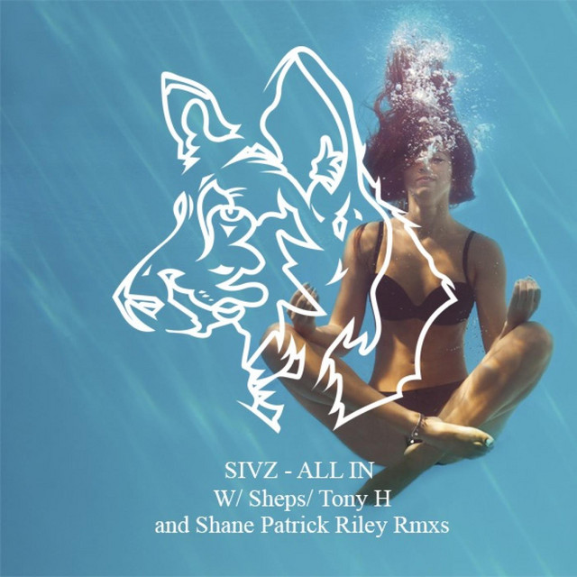 All In - Tony H Its Real Acidic Rmx cover art