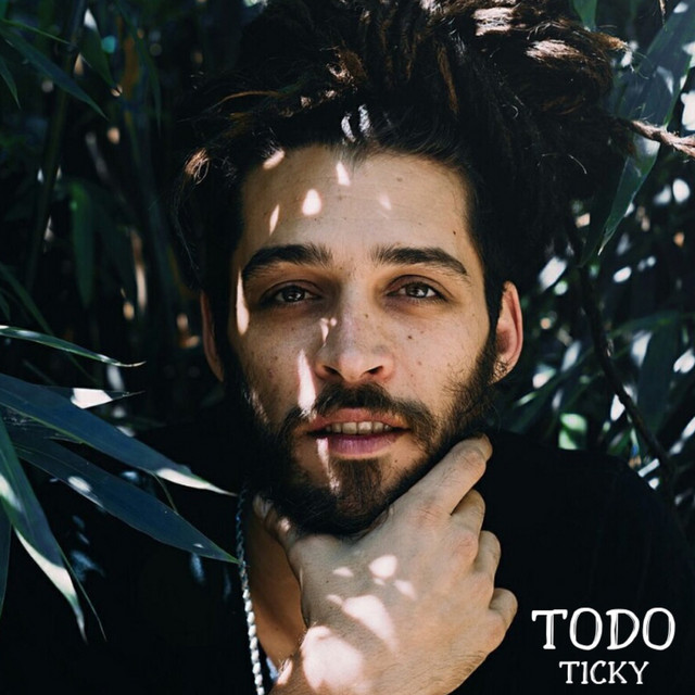 Todo cover art