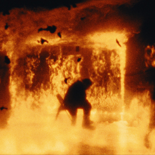 WILDFIRE
