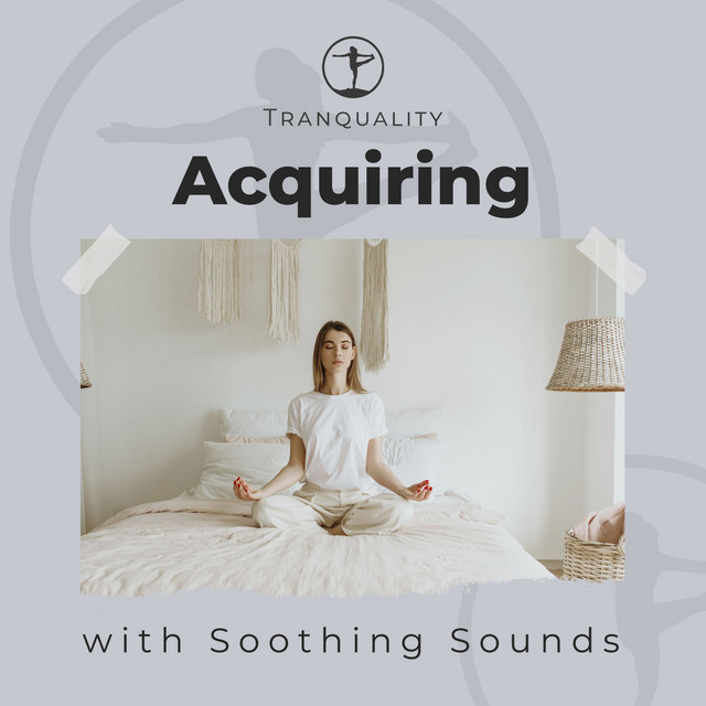 Acquiring One's Chakra with Soothing Sounds - Album by Deep Sleep ...