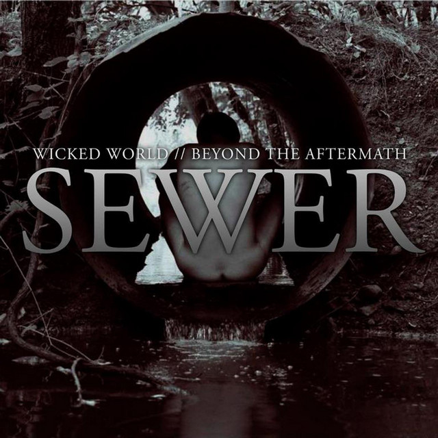 Sewer Split cover