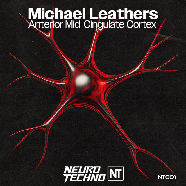 Anterior Mid-Cingulate Cortex cover art