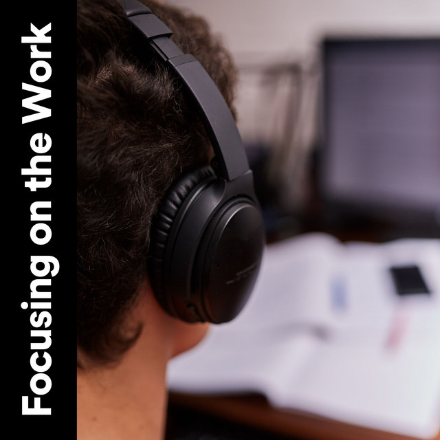 Focusing on the Work cover art