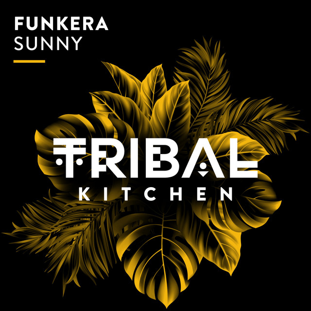 Sunny album art