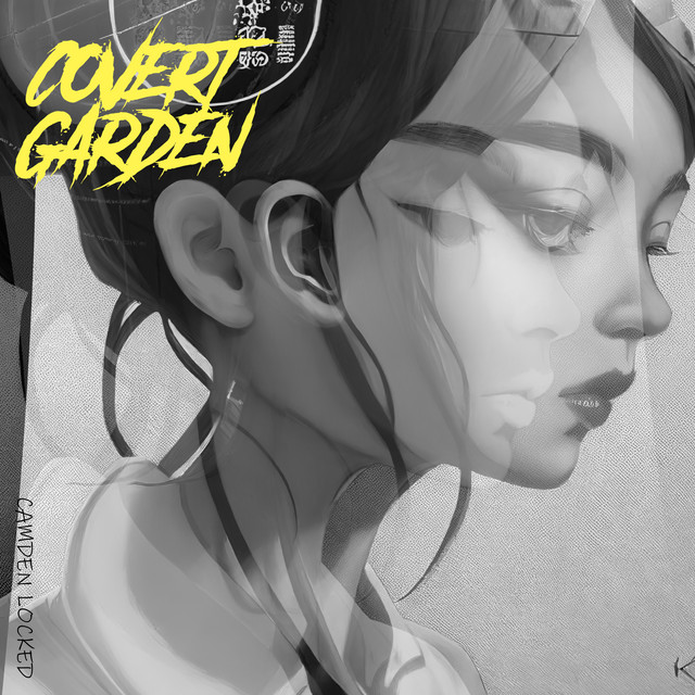Camden Locked artwork
