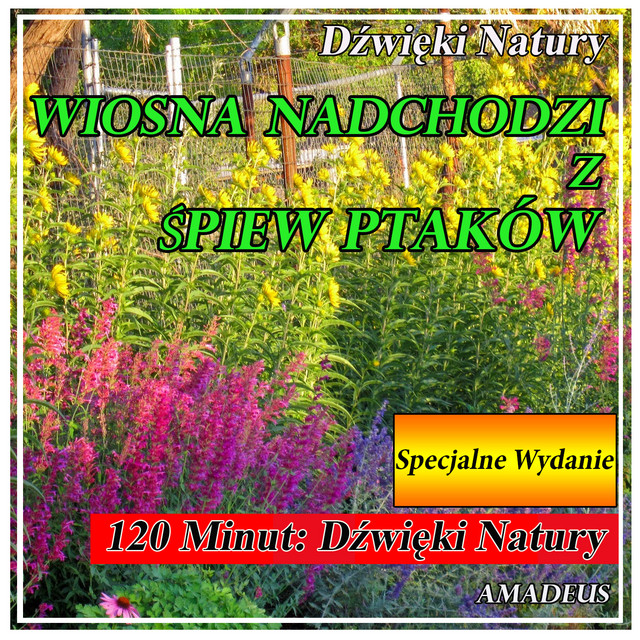 Wiosna Nadchodzi z Śpiew Ptaków: Dźwięki Natury: Specjalne Wydanie cover art