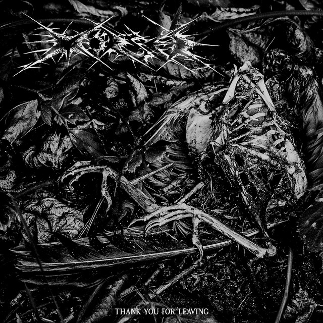 Thank You for Leaving cover art