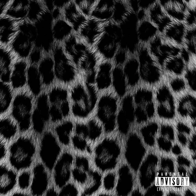 Pra Todas as Felinas cover art