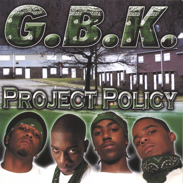 Project Policy cover art