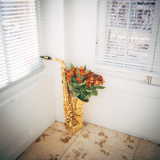 DUDE cover art
