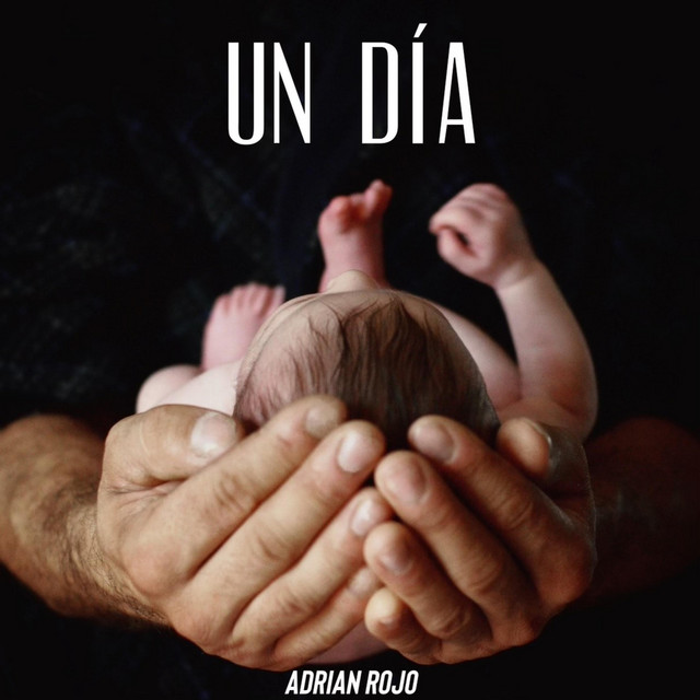 Un Dia