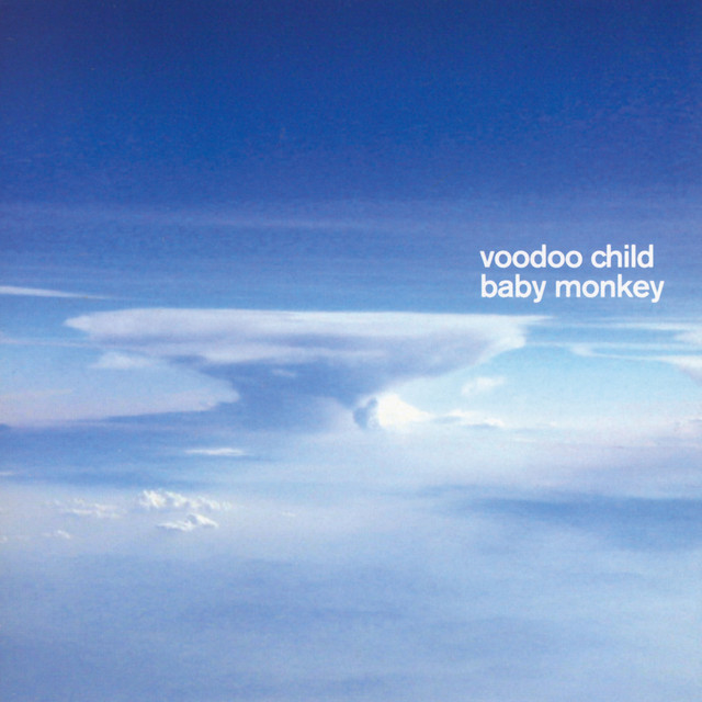 Baby Monkey cover art