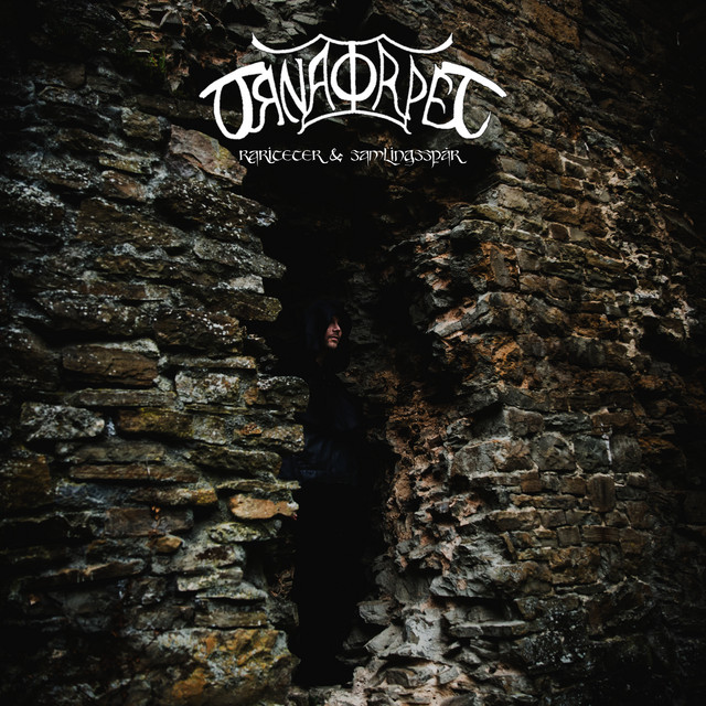 Rariteter & Samlingsspår cover art