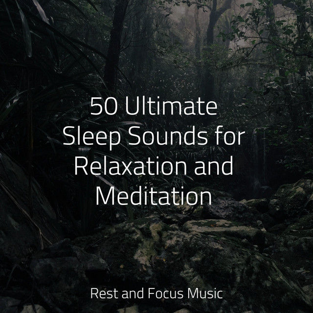 50 Ultimate Sleep Sounds for Relaxation and Meditation - Album by ...