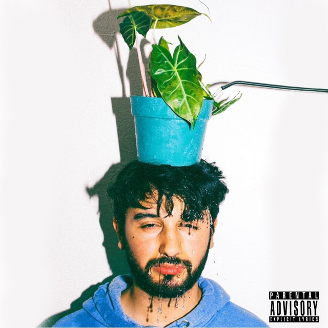 Brainstem cover art