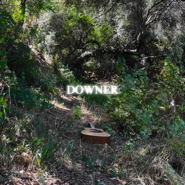 Downer cover art