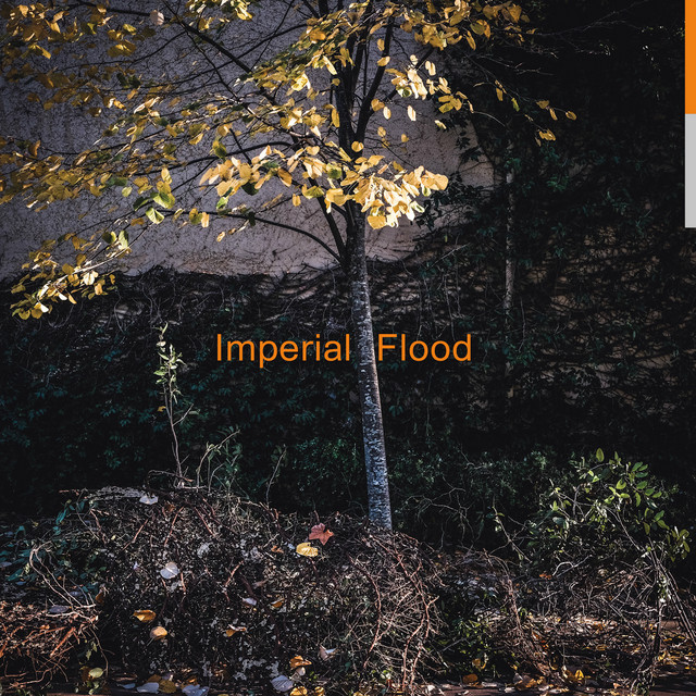 Imperial Flood cover art