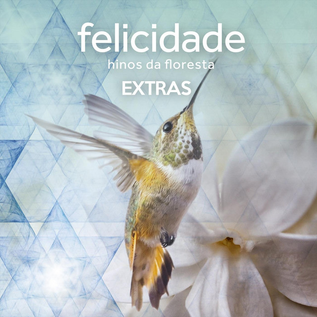 Felicidade Hinos da Floresta Extras cover art