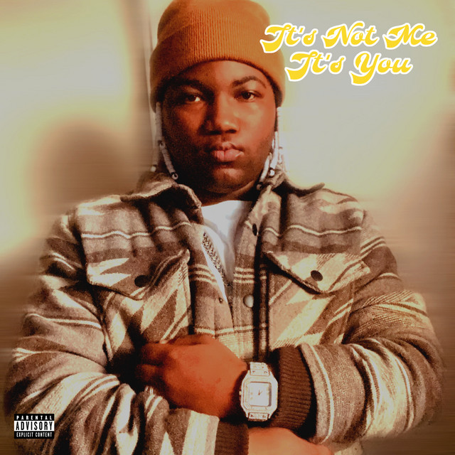 It's Not Me, It's You cover art