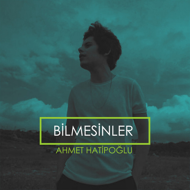 Bilmesinler cover