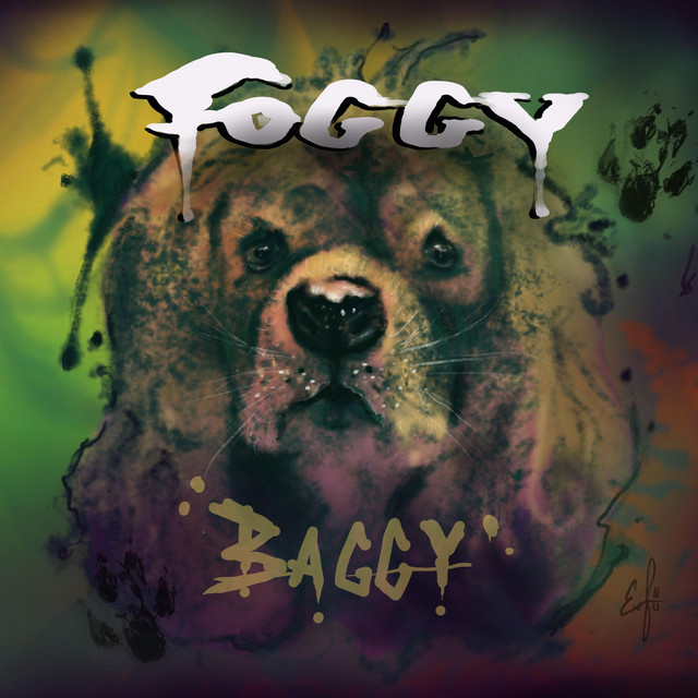Baggy cover art