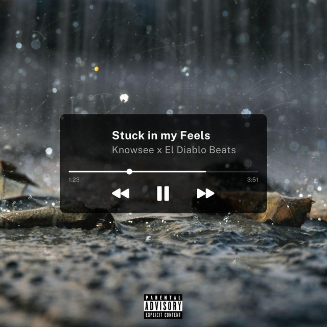 Stuck in my Feels