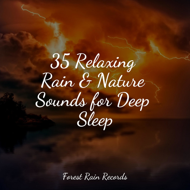 35 Relaxing Rain & Nature Sounds for Deep Sleep - Album by Deep Sleep ...