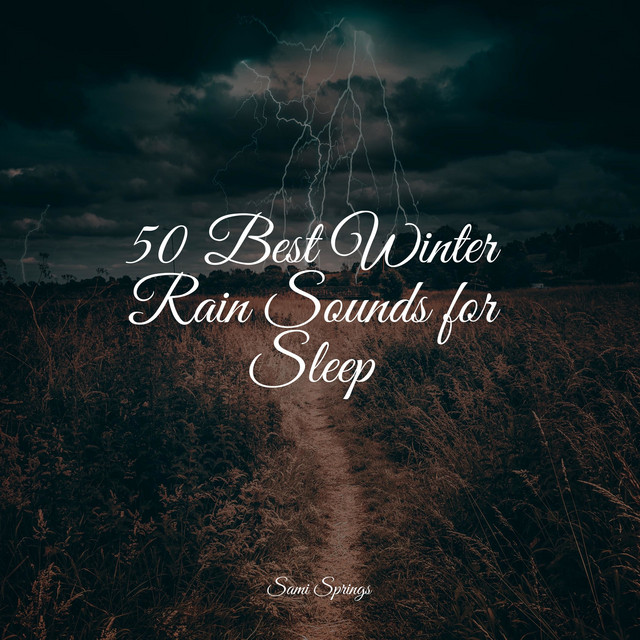 50 Best Winter Rain Sounds for Sleep - Album by Exam Study Classical ...