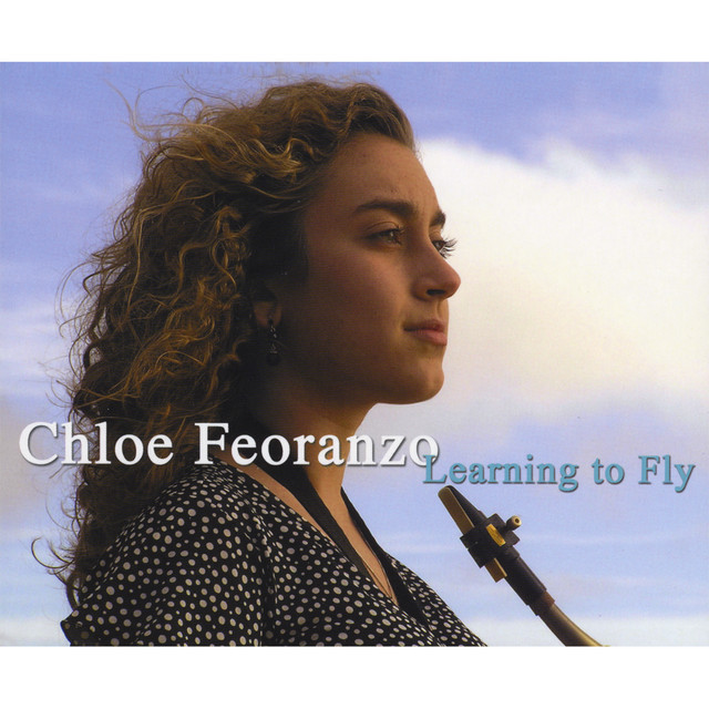 Learning To Fly cover