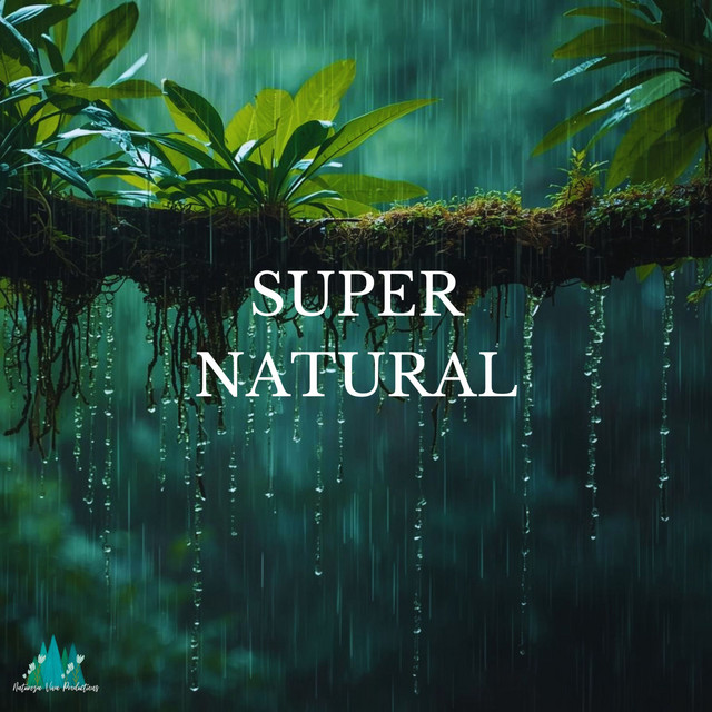 Super Natural album image