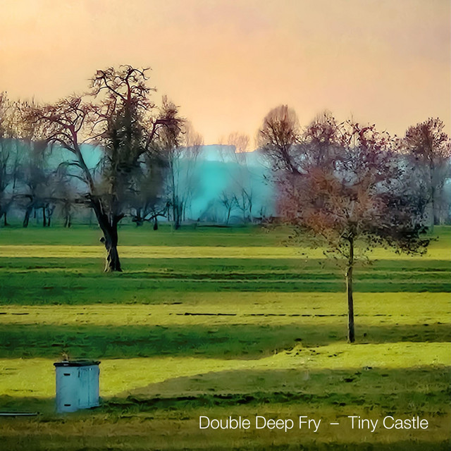 Tiny Castle cover