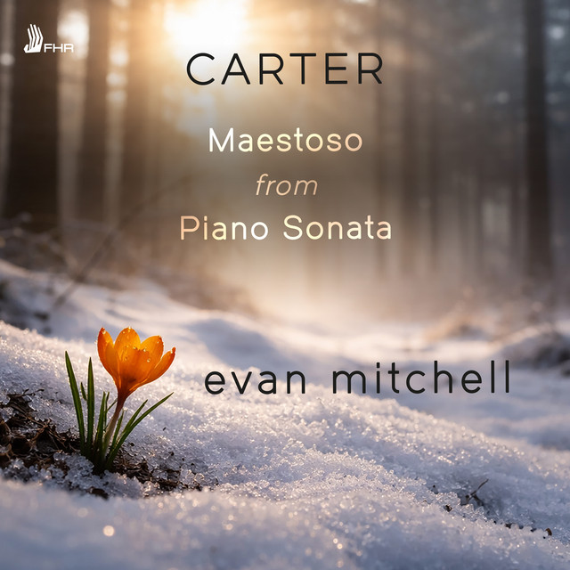 CARTER: Maestoso from Piano Sonata album image