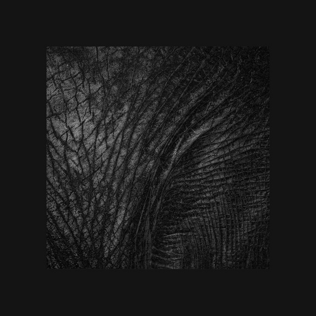 Blackest by Deft album cover